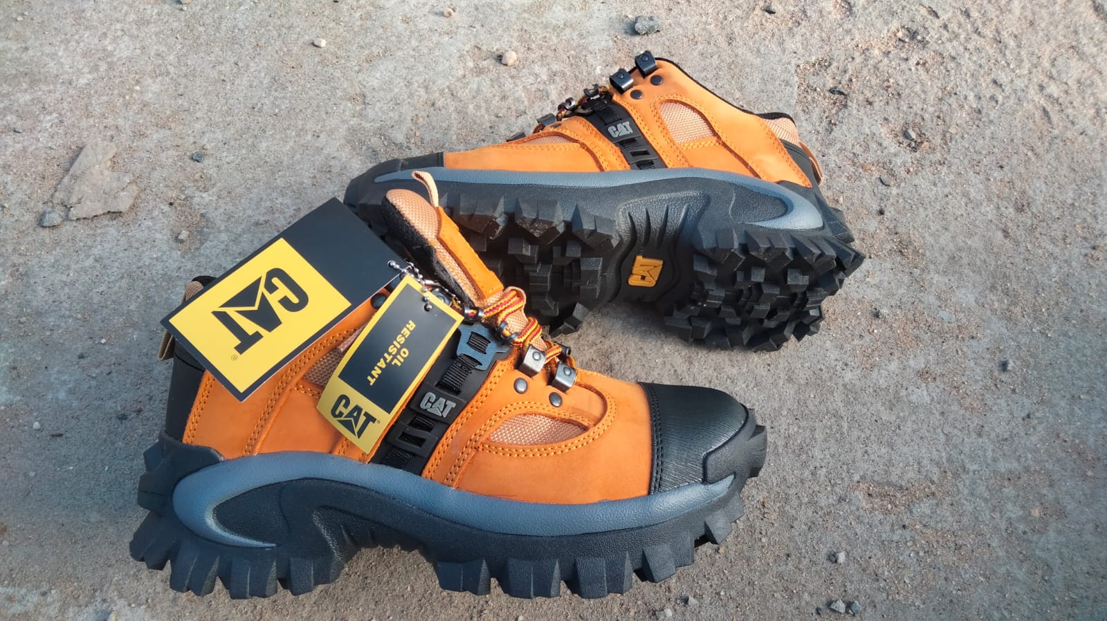 Cat boots lowcuts