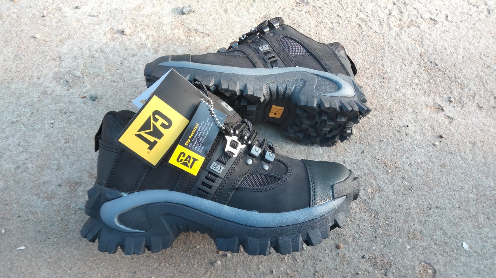 Cat boots lowcuts Black