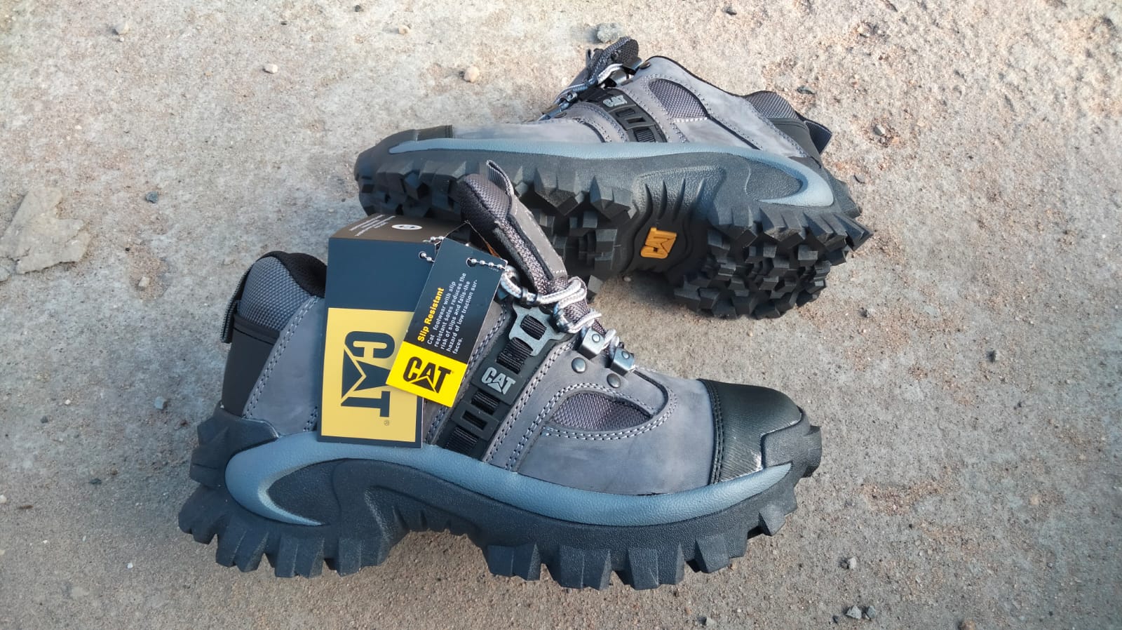 Cat boots lowcuts Grey